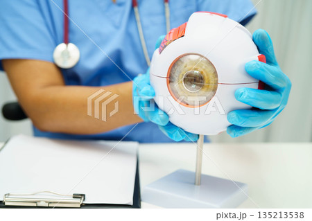 Asian doctor with eye human anatomy model for study diagnosis and treatment in hospital. 135213538