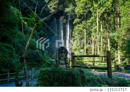 桂巻の滝（寿老人の滝）の風景 135213757