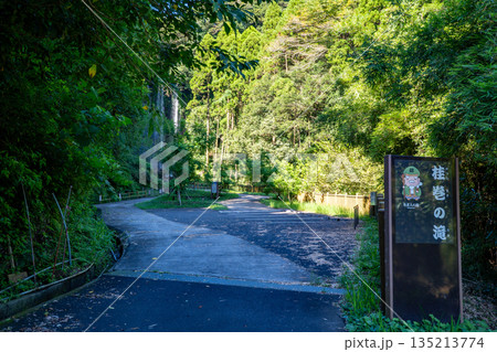 桂巻の滝（寿老人の滝）の風景 135213774