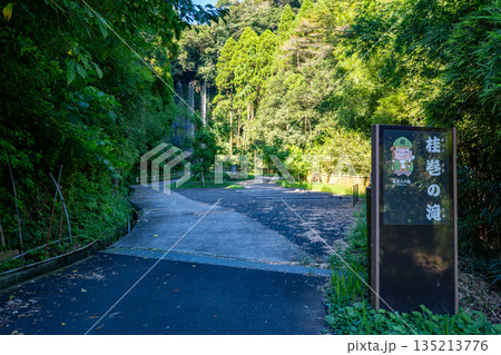 桂巻の滝（寿老人の滝）の風景 135213776