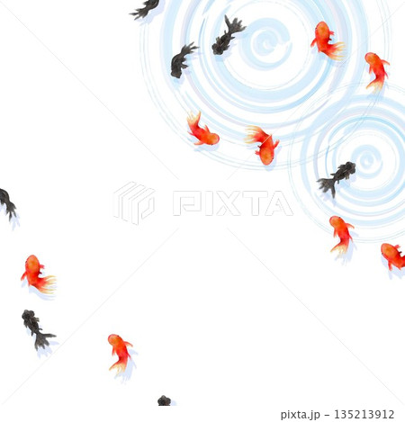 上から見た金魚と水面の波紋　ミニマルな和風イラスト 135213912