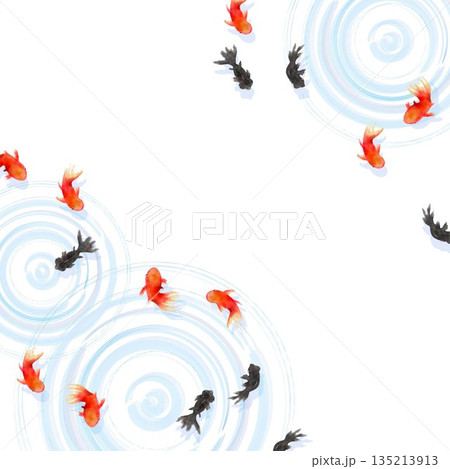 上から見た金魚と水面の波紋　ミニマルな和風イラスト 135213913