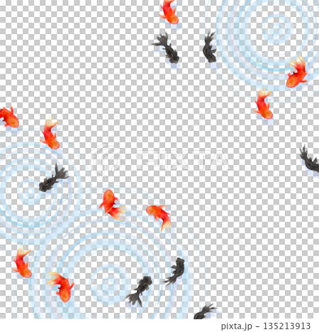 上から見た金魚と水面の波紋　ミニマルな和風イラスト 135213913