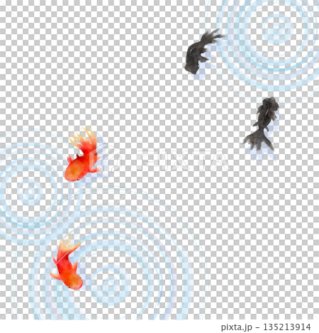 一幅極簡主義日式插畫，描繪了從上方俯瞰的金魚和水面漣漪。 135213914