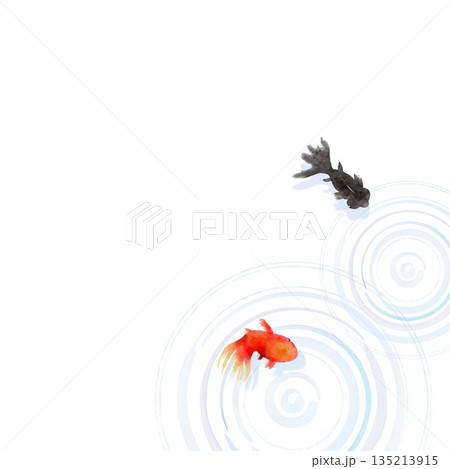 上から見た金魚と水面の波紋　ミニマルな和風イラスト 135213915