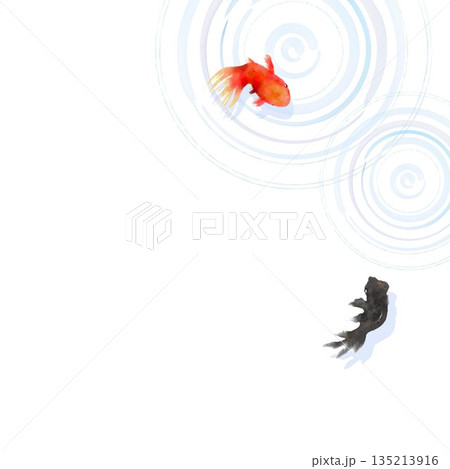 上から見た金魚と水面の波紋　ミニマルな和風イラスト 135213916