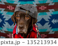 Labrador Retriever Dog in red shirt and gray baseball cap sits on floor with sad face. 135213934