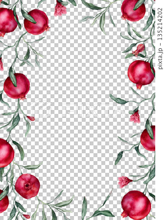 Pomegranates and pink flowers are a rectangular frame. A drawn manual watercolor illustration of the border with tropical fruits branches on a white isolated. Drawing with tropical fruits branches. Pomegranates and pink flowers are a rectangular frame. A drawn manual watercolor illustration of the border with tropical fruits branches on a white isolated. Drawing with tropical fruits branches. 135214202