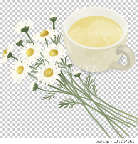 Watercolor style illustration of chamomile flowers with a warm cup of chamomile tea. 135214263