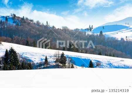 beautiful winter landscape with snow covered rolling hills under blue sky. majestic carpathian mountains on sunny day. frosty countryside scenery with snowy alpine meadow. remote region of ukraine beautiful winter landscape with snow covered rolling hills under blue sky. majestic carpathian mountains on sunny day. frosty countryside scenery with snowy alpine meadow. remote region of ukraine 135214319