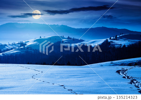 beautiful winter landscape with snow covered rolling hills under dark sky at night. majestic mountains in full moon light. frosty countryside scenery. backdrop for fiction art or mystery concepts 135214323