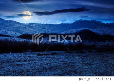 beautiful view of countryside scenery with field in march in full moon light. backdrop for fiction art or mystery concepts beautiful view of countryside scenery with field in march in full moon light. backdrop for fiction art or mystery concepts 135214324
