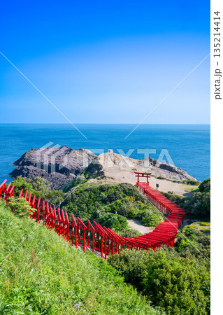 山口県 元乃隅神社の鳥居 山口県 元乃隅神社の鳥居 135214414