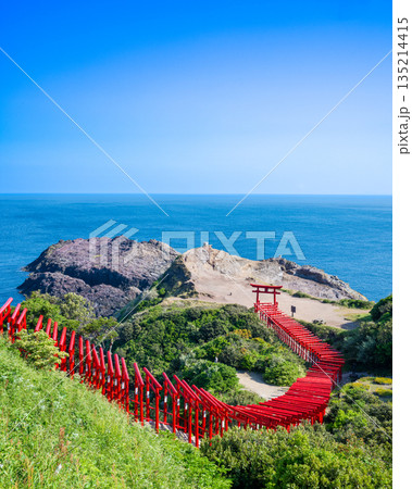 山口県　元乃隅神社の鳥居 135214415
