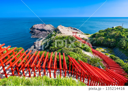 山口県　元乃隅神社の鳥居 135214416