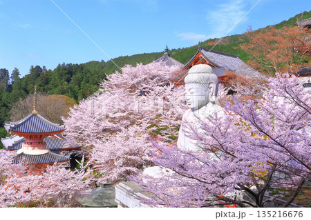 【奈良県】桜が満開の壺阪寺(桜大仏) 【奈良県】桜が満開の壺阪寺(桜大仏) 135216676
