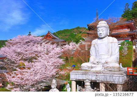 【奈良県】桜が満開の壺阪寺（桜大仏） 135216677