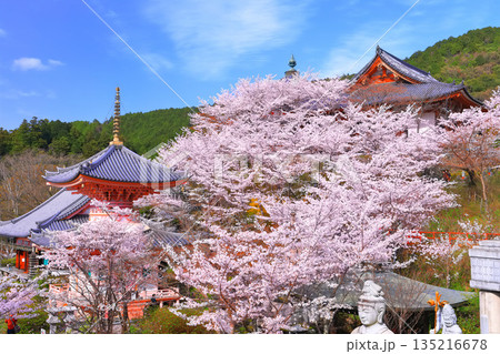 【奈良県】桜が満開の壺阪寺(桜大仏) 【奈良県】桜が満開の壺阪寺(桜大仏) 135216678