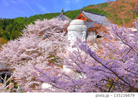 【奈良県】桜が満開の壺阪寺（桜大仏） 135216679