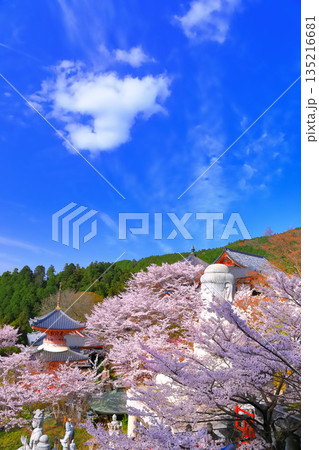 【奈良県】桜が満開の壺阪寺(桜大仏) 【奈良県】桜が満開の壺阪寺(桜大仏) 135216681