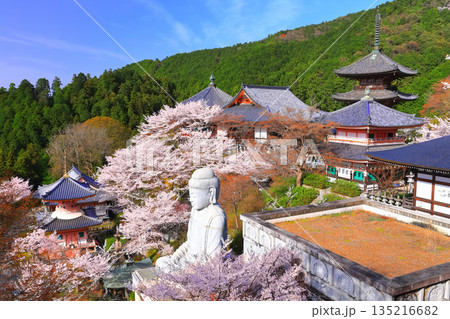 【奈良県】桜が満開の壺阪寺（桜大仏） 135216682