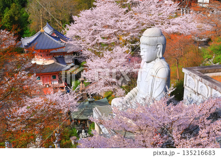 【奈良県】桜が満開の壺阪寺（桜大仏） 135216683