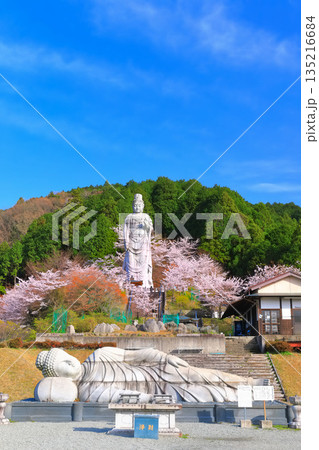 【奈良県】桜が満開の壺阪寺（大観音石像） 135216684