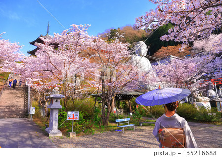 【奈良県】桜が満開の壺阪寺(桜大仏) 【奈良県】桜が満開の壺阪寺(桜大仏) 135216688