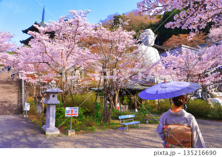 【奈良県】桜が満開の壺阪寺（桜大仏） 135216690