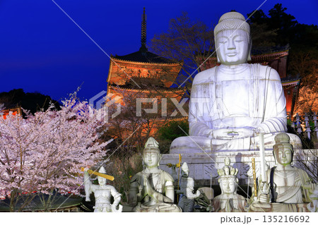 【奈良県】桜が満開の壺阪寺の夜景（桜大仏） 135216692