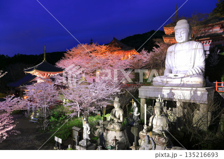 【奈良県】桜が満開の壺阪寺の夜景（桜大仏） 135216693