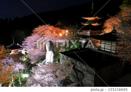 【奈良県】桜が満開の壺阪寺の夜景(桜大仏) 【奈良県】桜が満開の壺阪寺の夜景(桜大仏) 135216695