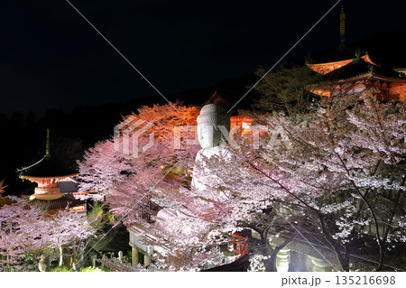 【奈良県】桜が満開の壺阪寺の夜景(桜大仏) 【奈良県】桜が満開の壺阪寺の夜景(桜大仏) 135216698