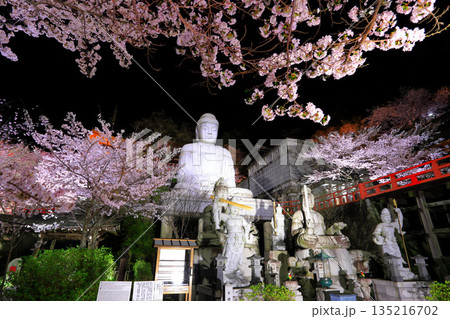 【奈良県】桜が満開の壺阪寺の夜景（桜大仏） 135216702