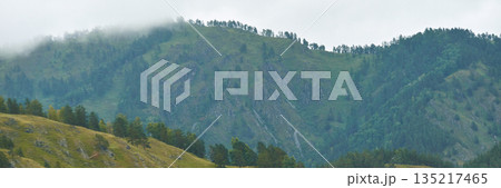Misty green hills with dense forest and cloudy sky on a tranquil day Misty green hills with dense forest and cloudy sky on a tranquil day 135217465
