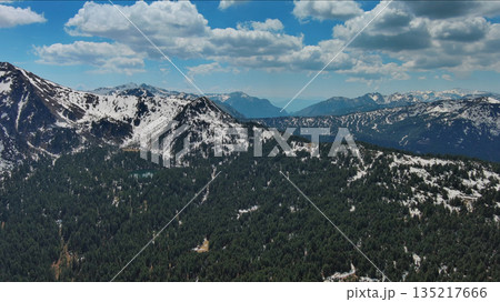 Rocky mountains in snow and green fir forest Rocky mountains in snow and green fir forest 135217666