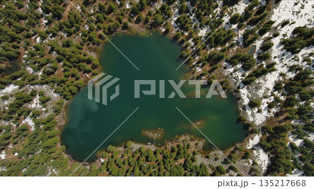 Mountain lake with snow mountains and green forest 135217668
