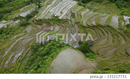 Batad Rice Terraces in Philippines 135217731