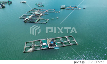 Fish farm with cages for fish and shrimp 135217743