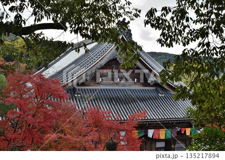 秋の永観堂禅林寺 御影堂とモミジ(京都市左京区) 秋の永観堂禅林寺 御影堂とモミジ(京都市左京区) 135217894