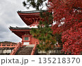 秋の大覚寺　心経宝塔とモミジ(京都市右京区) 135218370