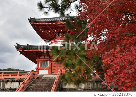 秋の大覚寺 心経宝塔とモミジ(京都市右京区) 秋の大覚寺 心経宝塔とモミジ(京都市右京区) 135218370
