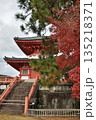 秋の大覚寺　心経宝塔とモミジ(京都市右京区) 135218371