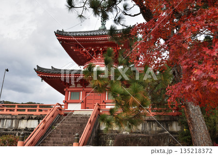 秋の大覚寺　心経宝塔とモミジ(京都市右京区) 135218372