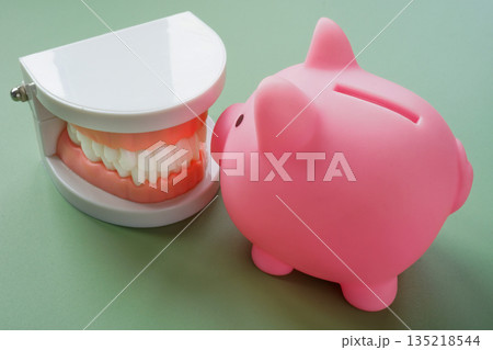 Dental care savings with jaw model and piggy bank. Healthcare costs planning. Dental care savings with jaw model and piggy bank. Healthcare costs planning. 135218544