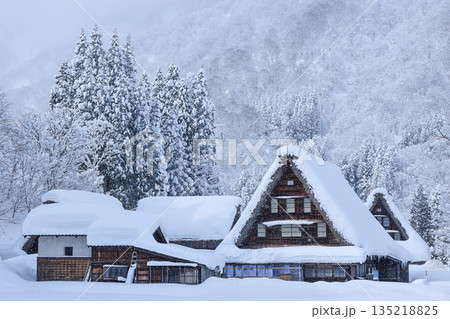 雪降る五箇山菅沼集落の合掌造り 135218825