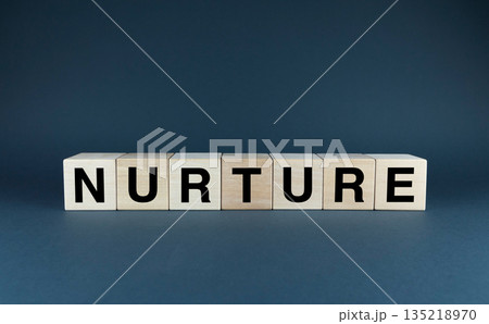Wooden Blocks Spelling word Nurture Wooden Blocks Spelling word Nurture 135218970