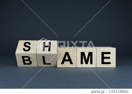 Blame or shame. Concept of social problems 135219002