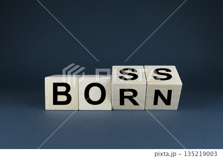 Born to be the boss. Business Concept Born to be the boss. Business Concept 135219003