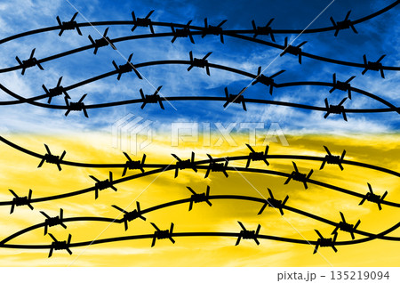 Barbed wire on the background of the sky in the form of the flag of Ukraine Barbed wire on the background of the sky in the form of the flag of Ukraine 135219094